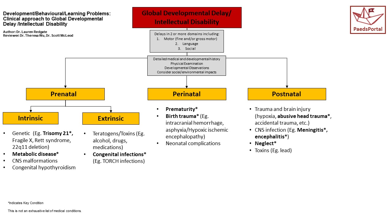 Global developmental delay & Intellectual disability