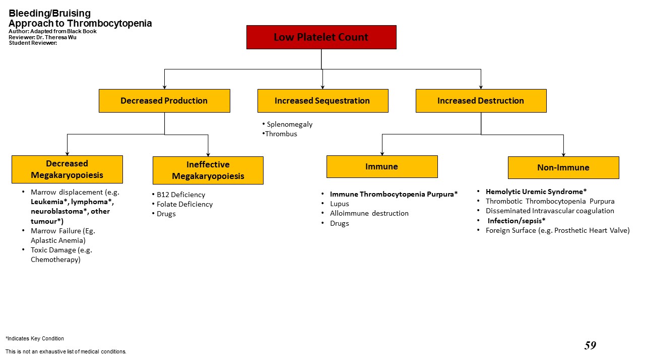Approach to thrombocytopenia